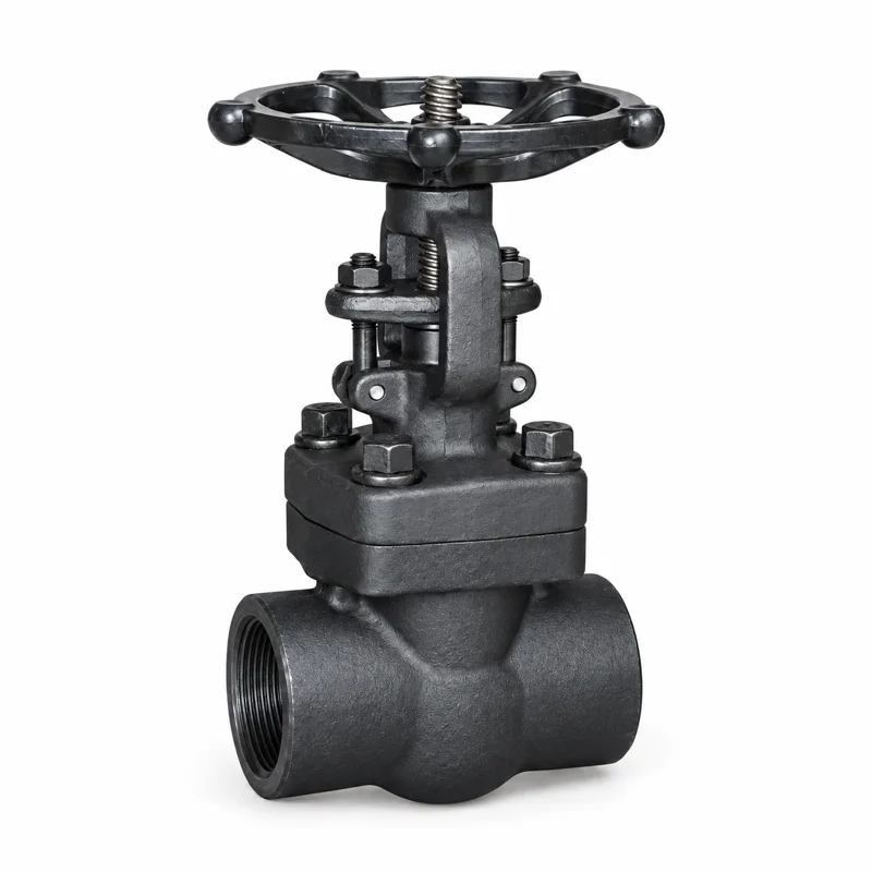 Forged Steel Gate Valve