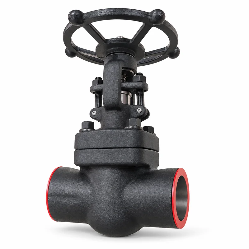Forged Steel Globe Valve