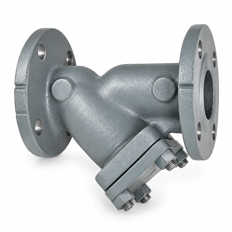 Flanged Y-strainer