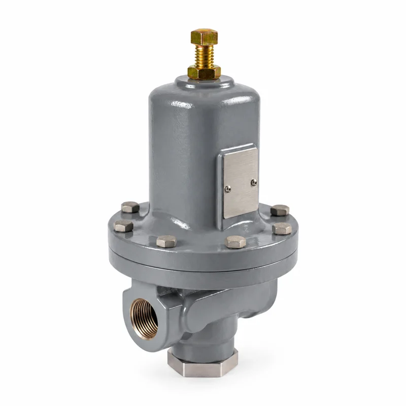 Spring-loaded Back Pressure Regulator
